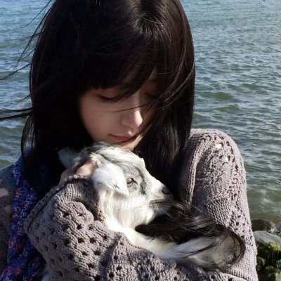 绝对零度～情报犯罪紧急搜查～